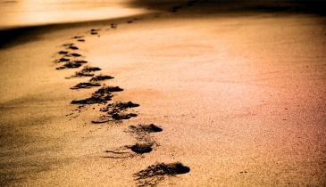 Coming off auto-pilot